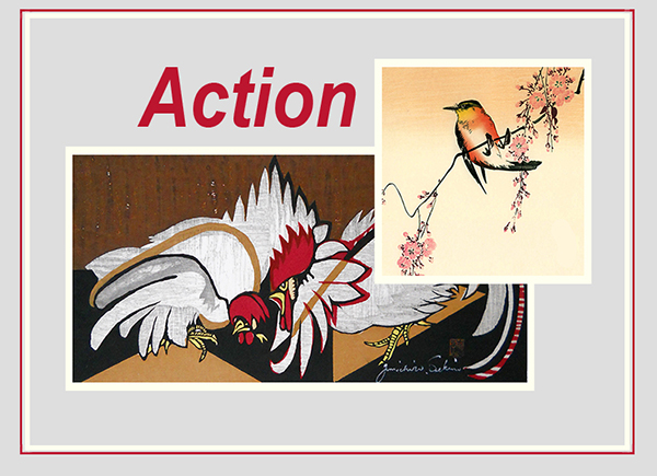 Action Blog